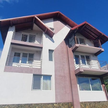ホテル Casa Silvia Căpăţîneni-Ungureni エクステリア 写真