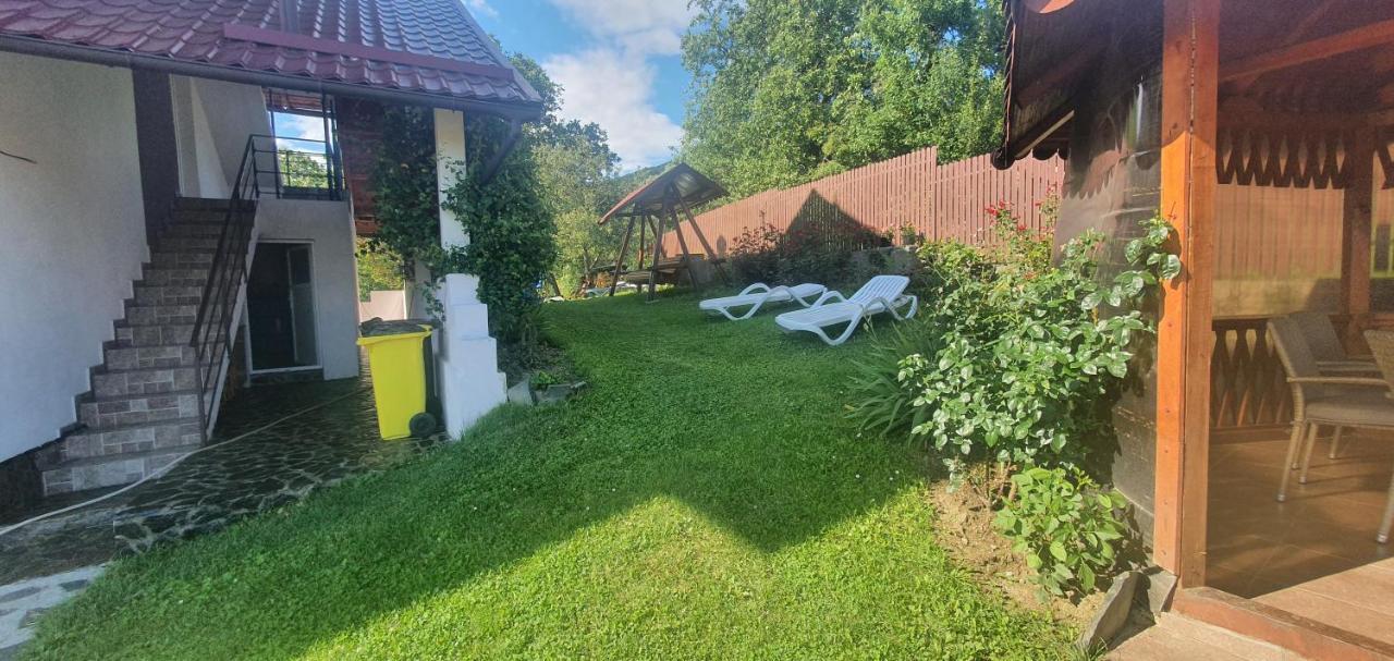 ホテル Casa Silvia Căpăţîneni-Ungureni エクステリア 写真
