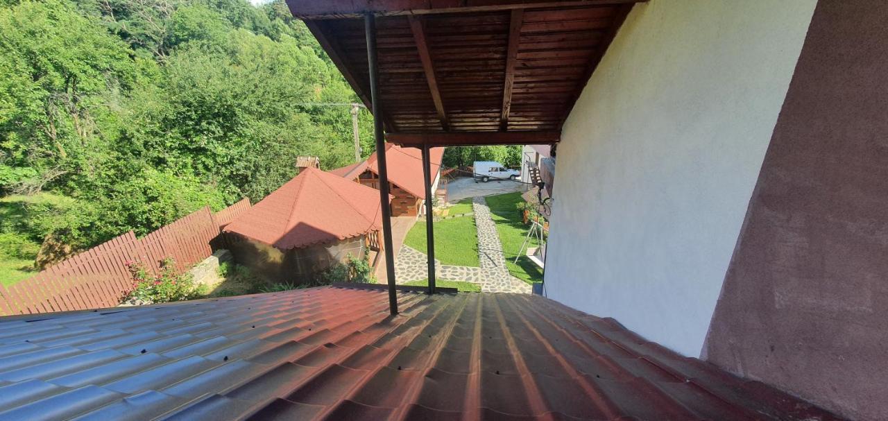 ホテル Casa Silvia Căpăţîneni-Ungureni エクステリア 写真