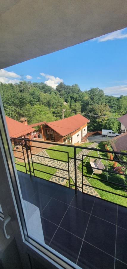 ホテル Casa Silvia Căpăţîneni-Ungureni エクステリア 写真