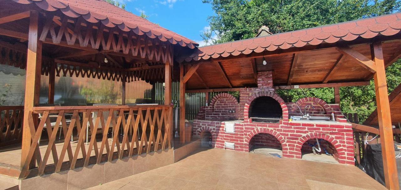 ホテル Casa Silvia Căpăţîneni-Ungureni エクステリア 写真