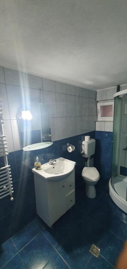 ホテル Casa Silvia Căpăţîneni-Ungureni エクステリア 写真