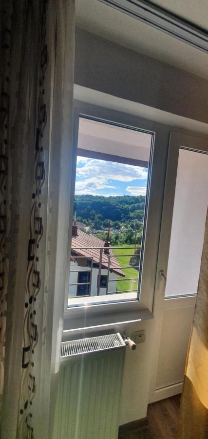 ホテル Casa Silvia Căpăţîneni-Ungureni エクステリア 写真