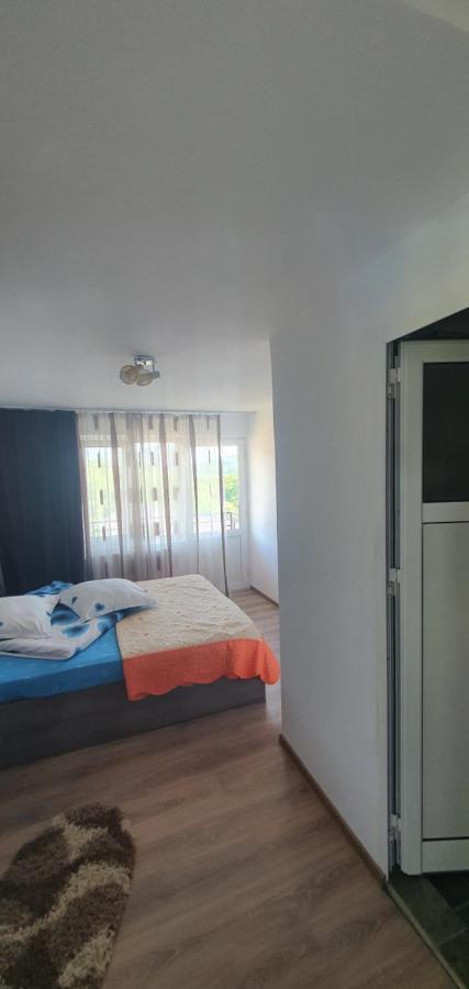 ホテル Casa Silvia Căpăţîneni-Ungureni エクステリア 写真