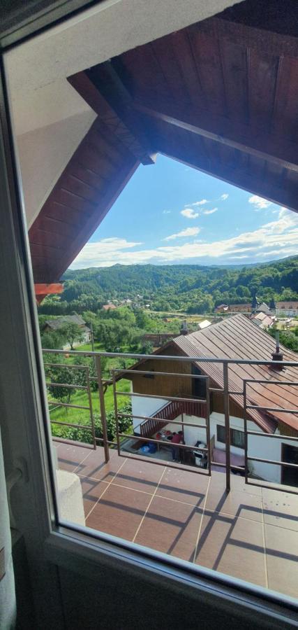 ホテル Casa Silvia Căpăţîneni-Ungureni エクステリア 写真